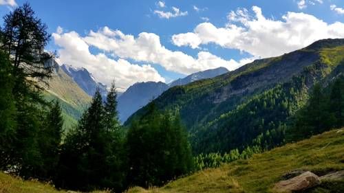 Outdoor Pictures 15