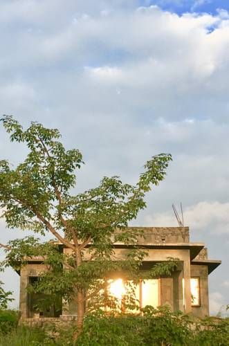 Outdoor Pictures 4
