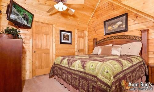 Papa Bear Lodge 565 - Five Bedroom Cabin