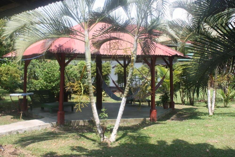 Outdoor Pictures 1