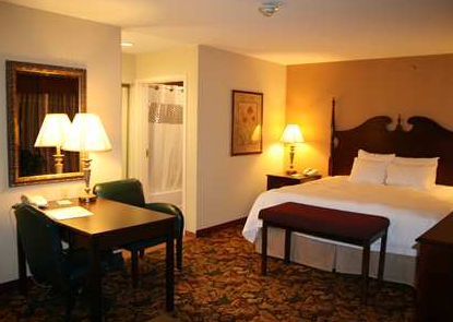 HAMPTON INN & SUITES DEL RIO, TX