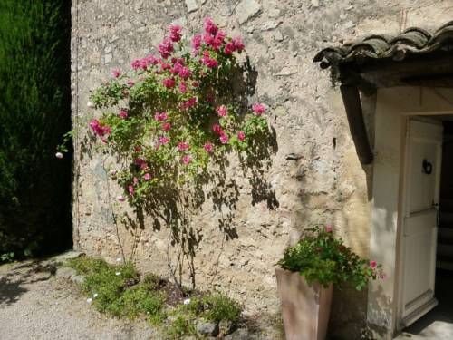 Outdoor Pictures 15