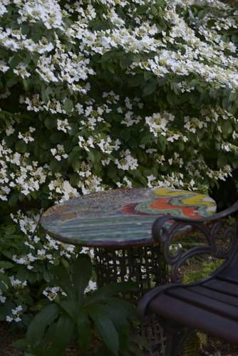 Outdoor Pictures 23