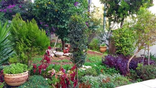 Outdoor Pictures 22