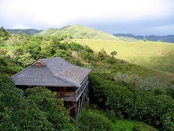 O'Luina