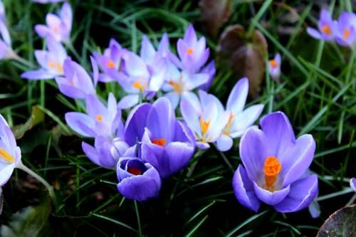 Outdoor Pictures 8