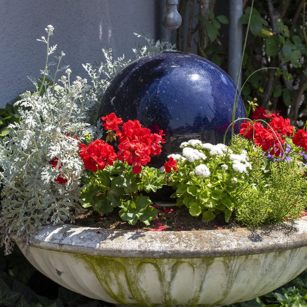 Outdoor Pictures 21