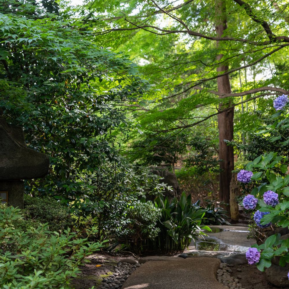 Outdoor Pictures 21