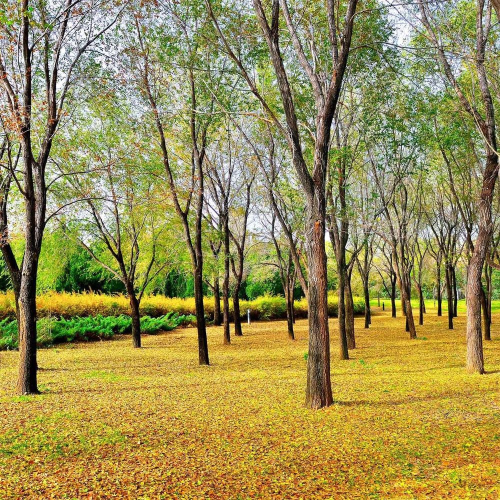 Outdoor Pictures 20