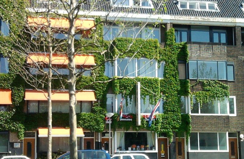 Hotel Baan