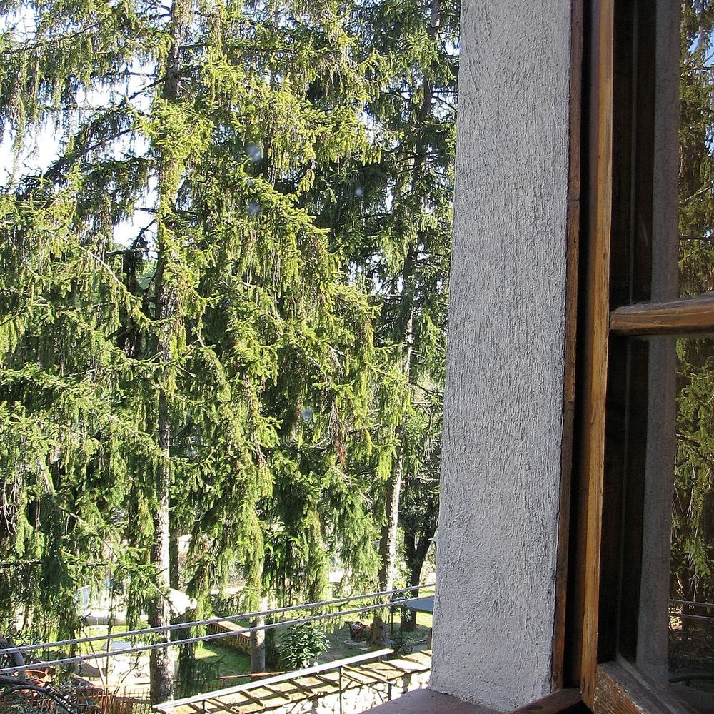 Outdoor Pictures 1