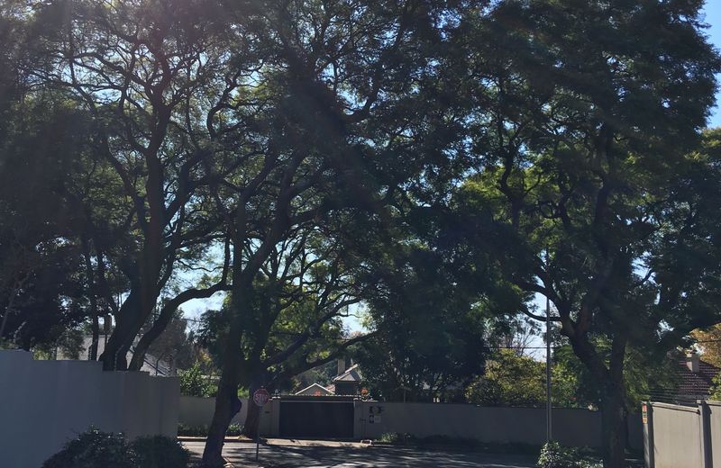 Maison Jacaranda
