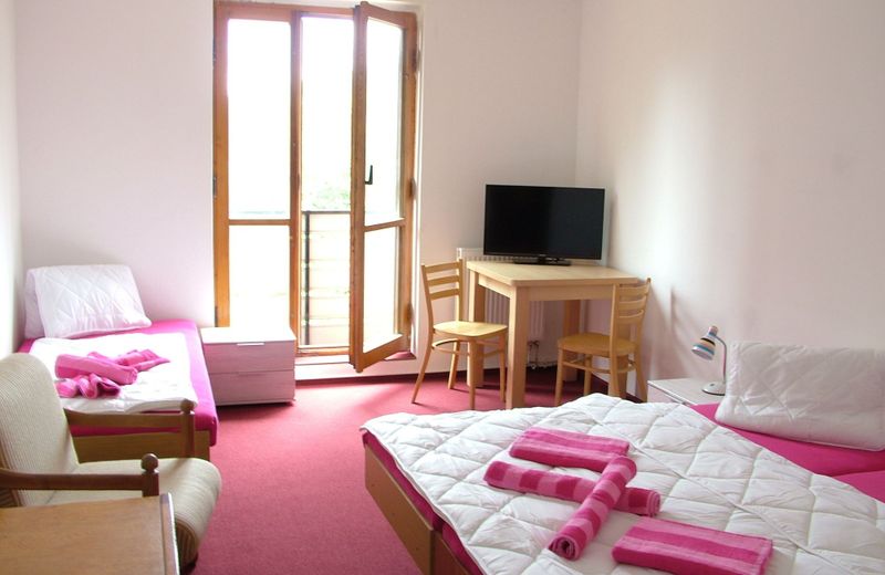 ProFamily Hotel TOP Benecko