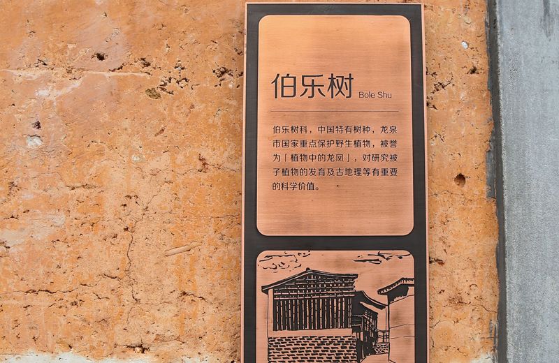 The International Cultural and Creative Bamboo Village