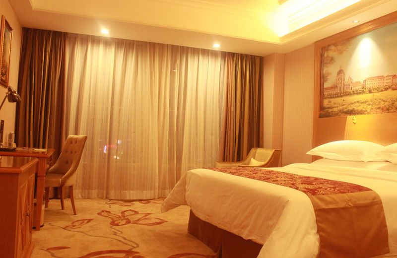 Vienna Hotel Lecong Furniture City Store
