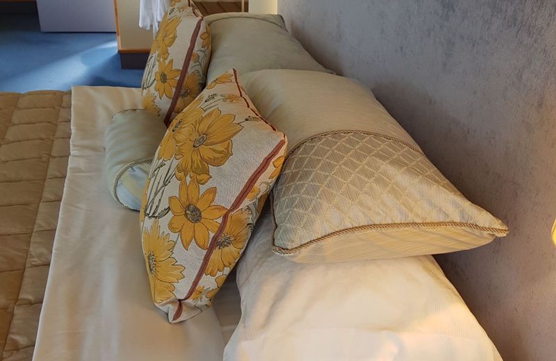 Hawkdun Rise Vineyard & Accommodation