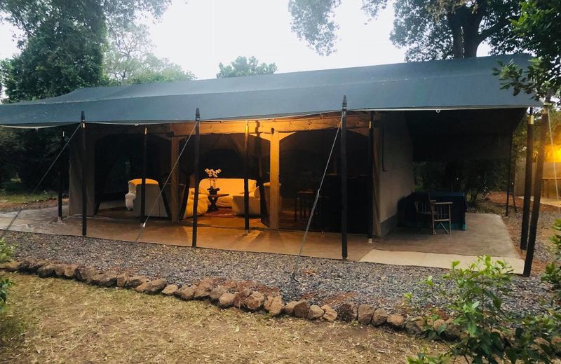 Hammerkop Migration Camp