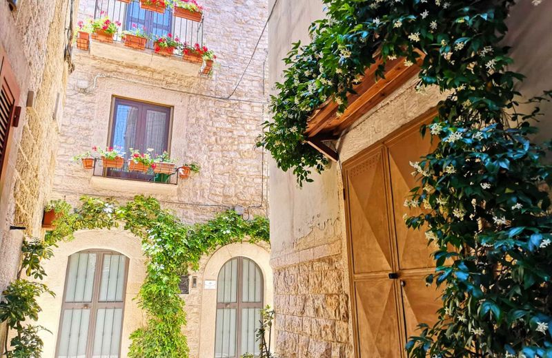 Francis' Guest House