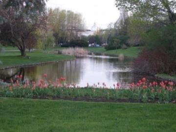 Outdoor Pictures 1