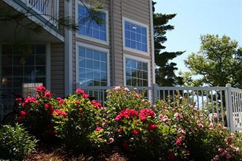 Bayshore Resort