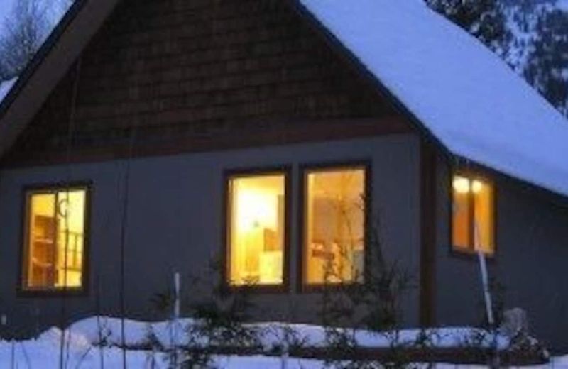 Mountain Town Properties Aladar's Guest Cabin