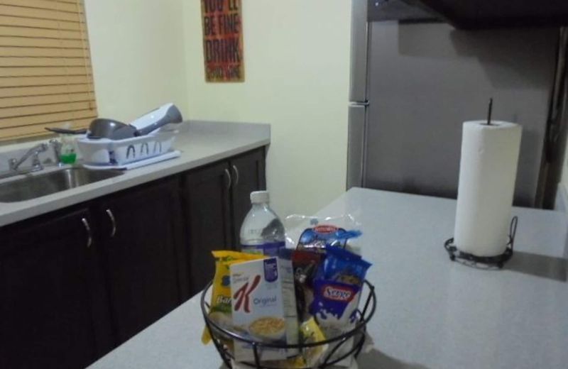 New Kingston Guest Apartment IV