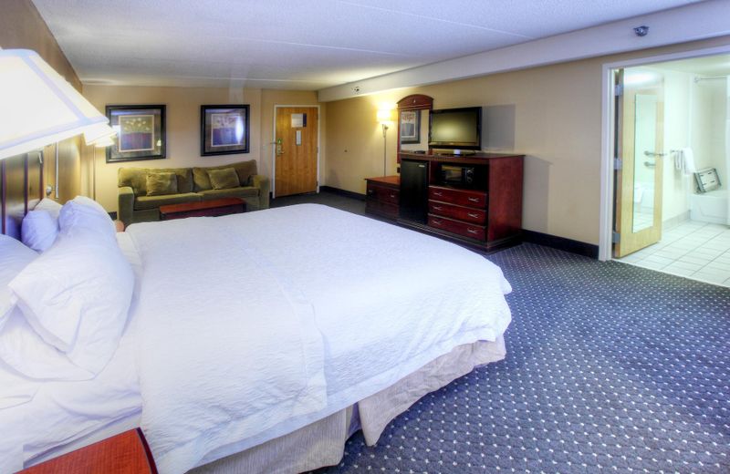 Hampton Inn Tuscaloosa - East