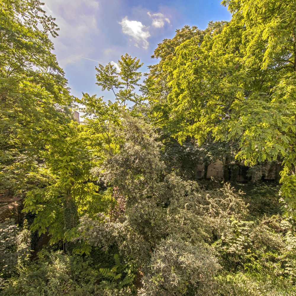 Outdoor Pictures 23