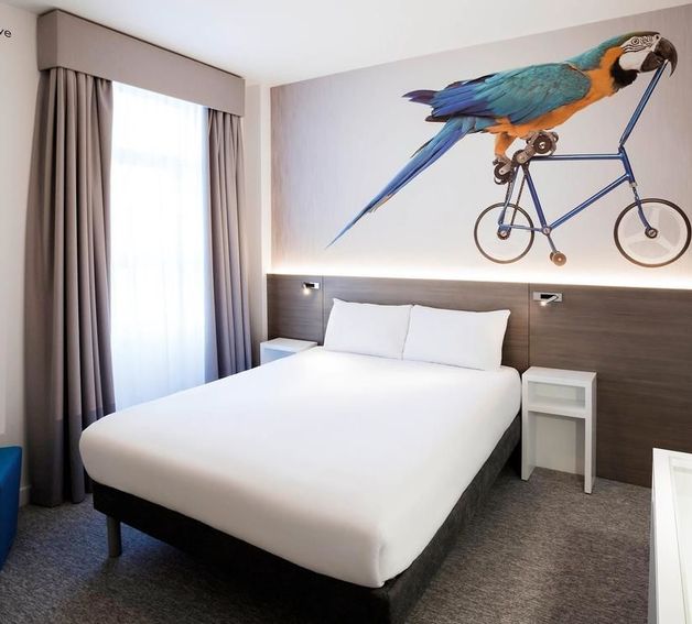Room Image