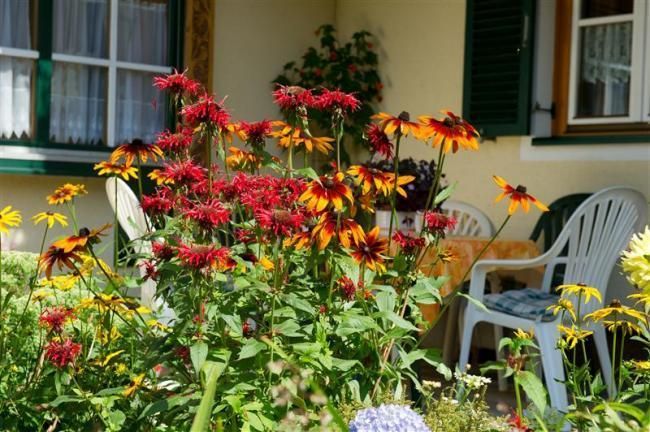 Outdoor Pictures 16