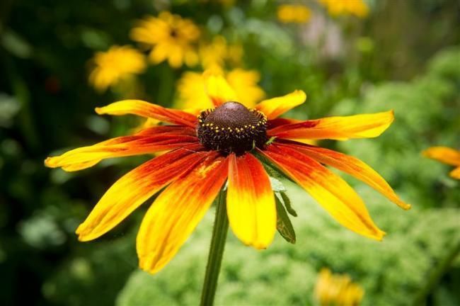 Outdoor Pictures 21