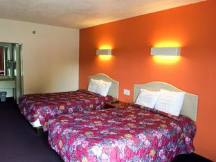 Hotel Image 5