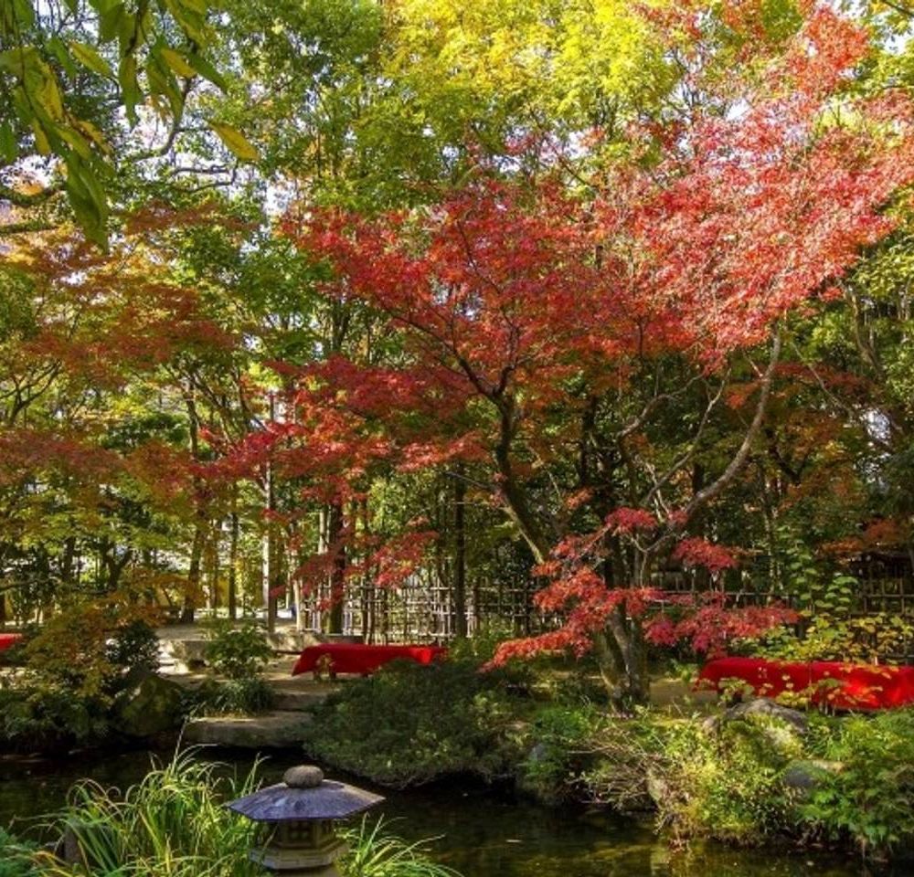 Outdoor Pictures 21