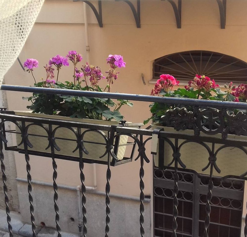 Outdoor Pictures 2