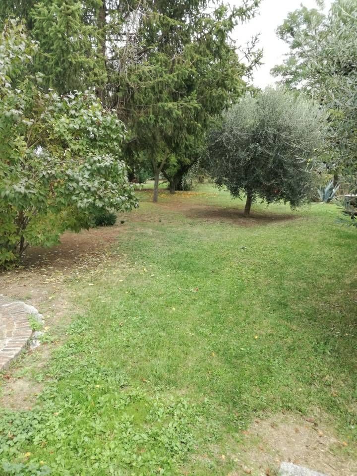 Outdoor Pictures 6