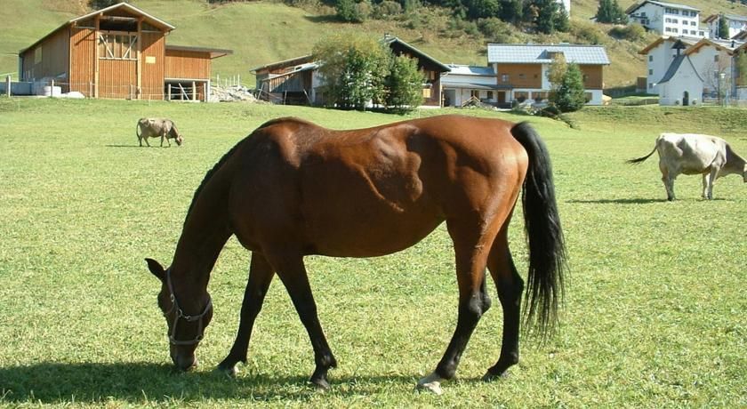 Outdoor Pictures 17