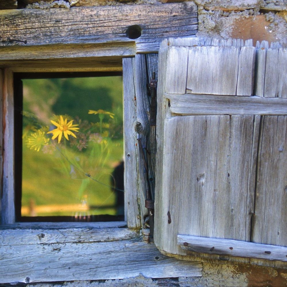 Outdoor Pictures 4