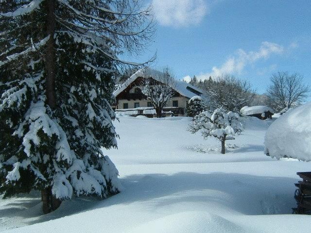 Outdoor Pictures 21