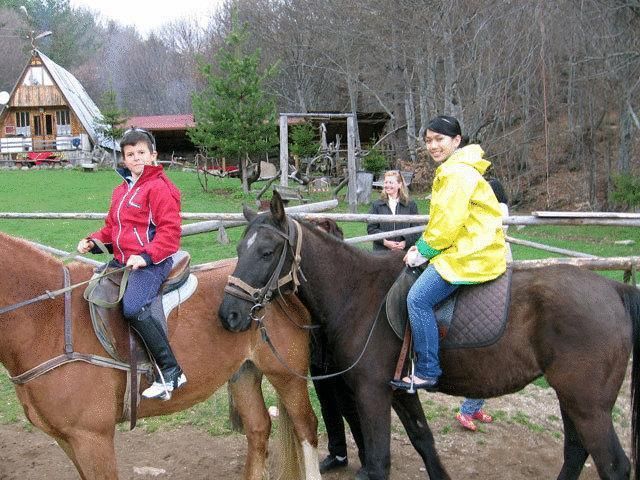 Outdoor Pictures 5
