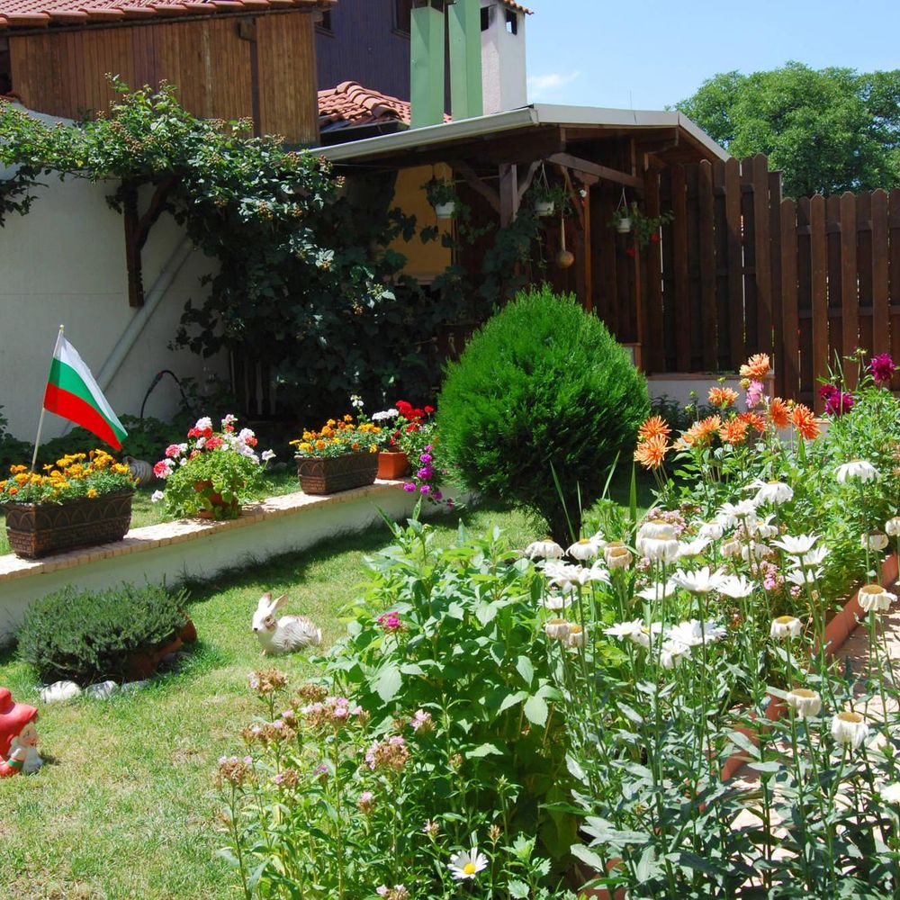 Outdoor Pictures 1