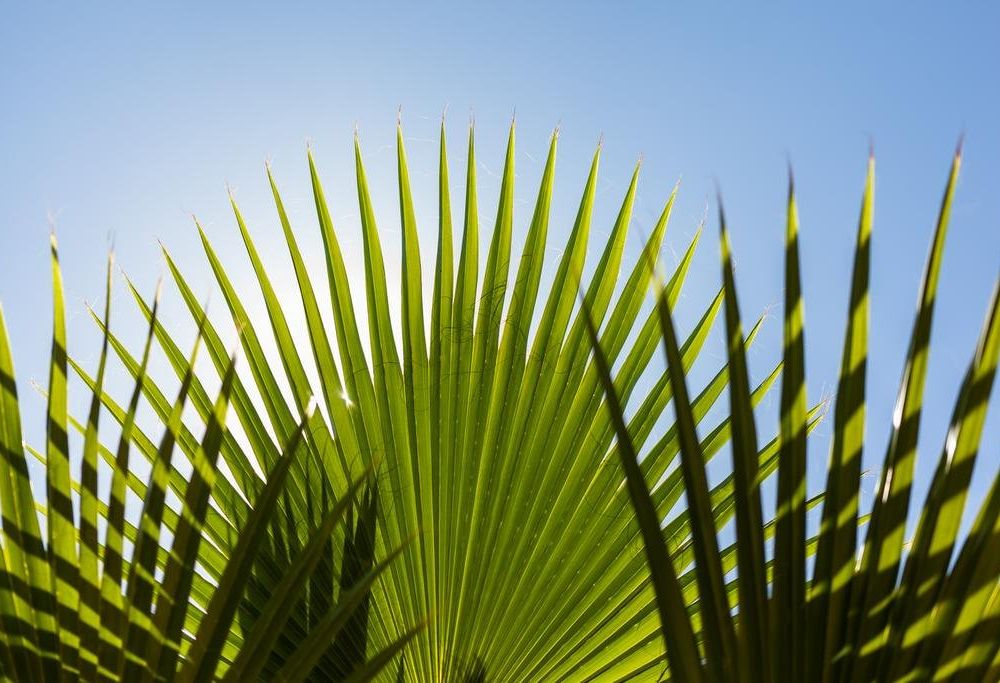 Outdoor Pictures 22