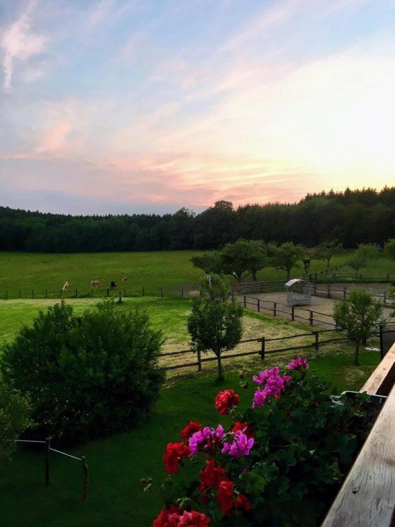 Outdoor Pictures 22