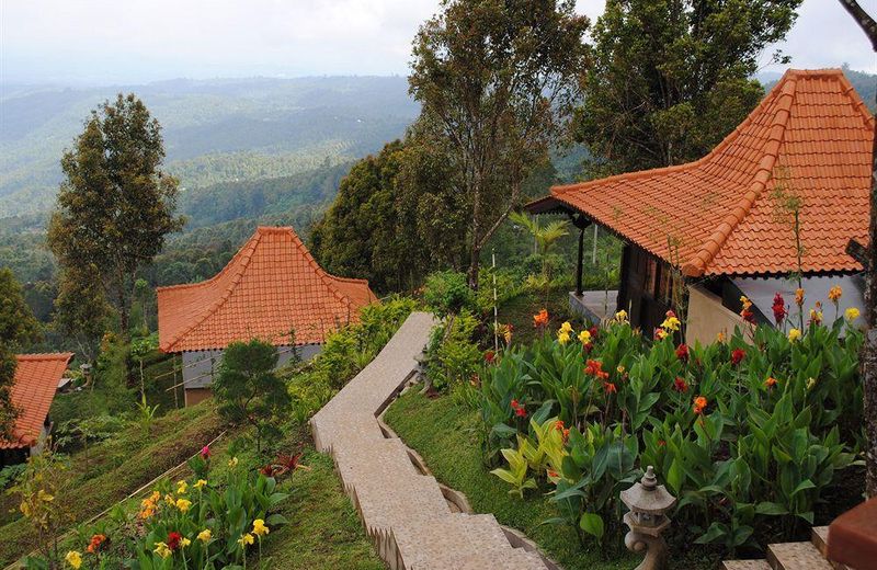 THE KASAN GREEN HILL