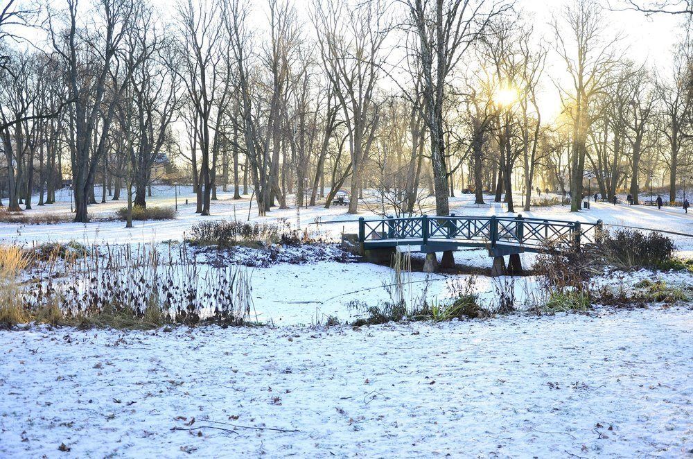 Outdoor Pictures 20