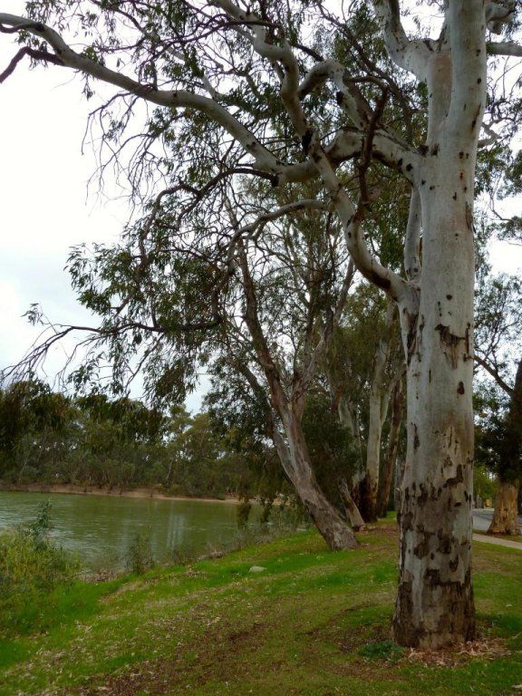Outdoor Pictures 14