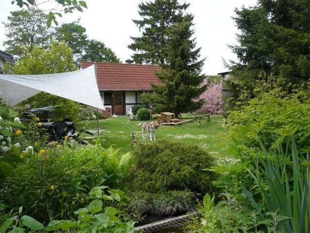 Outdoor Pictures 11