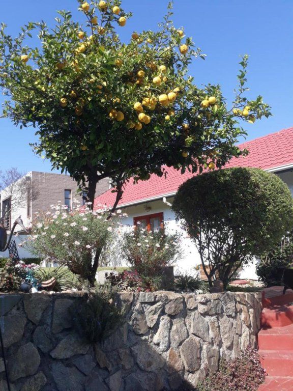 Outdoor Pictures 15