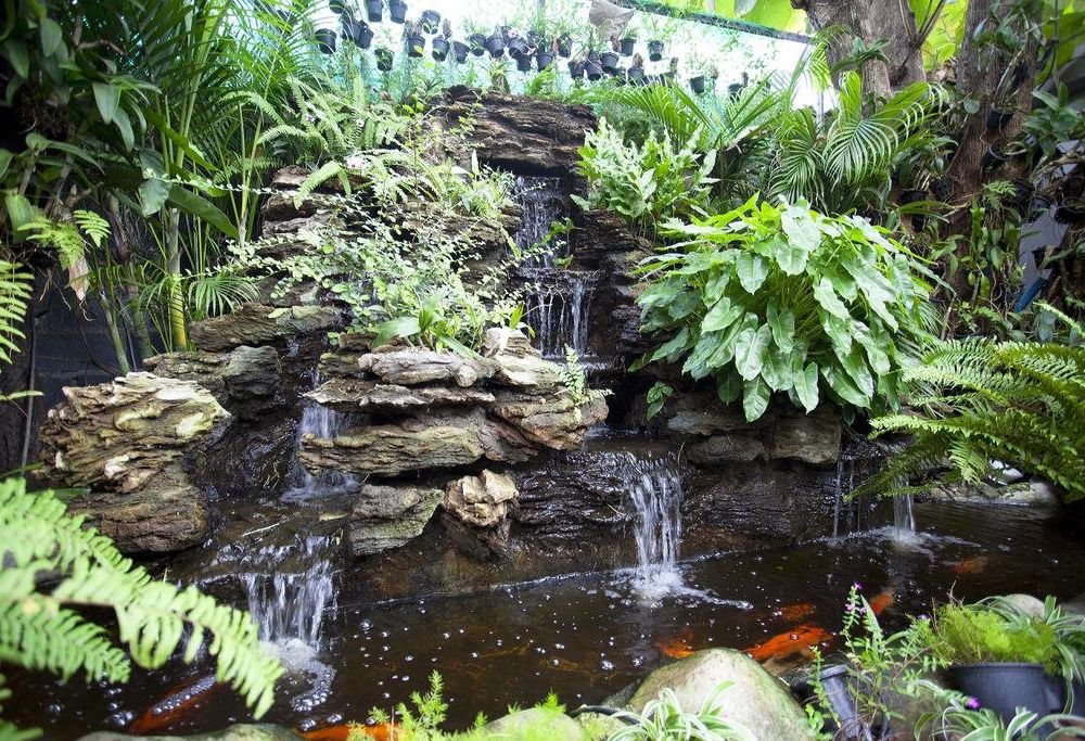 Outdoor Pictures 22