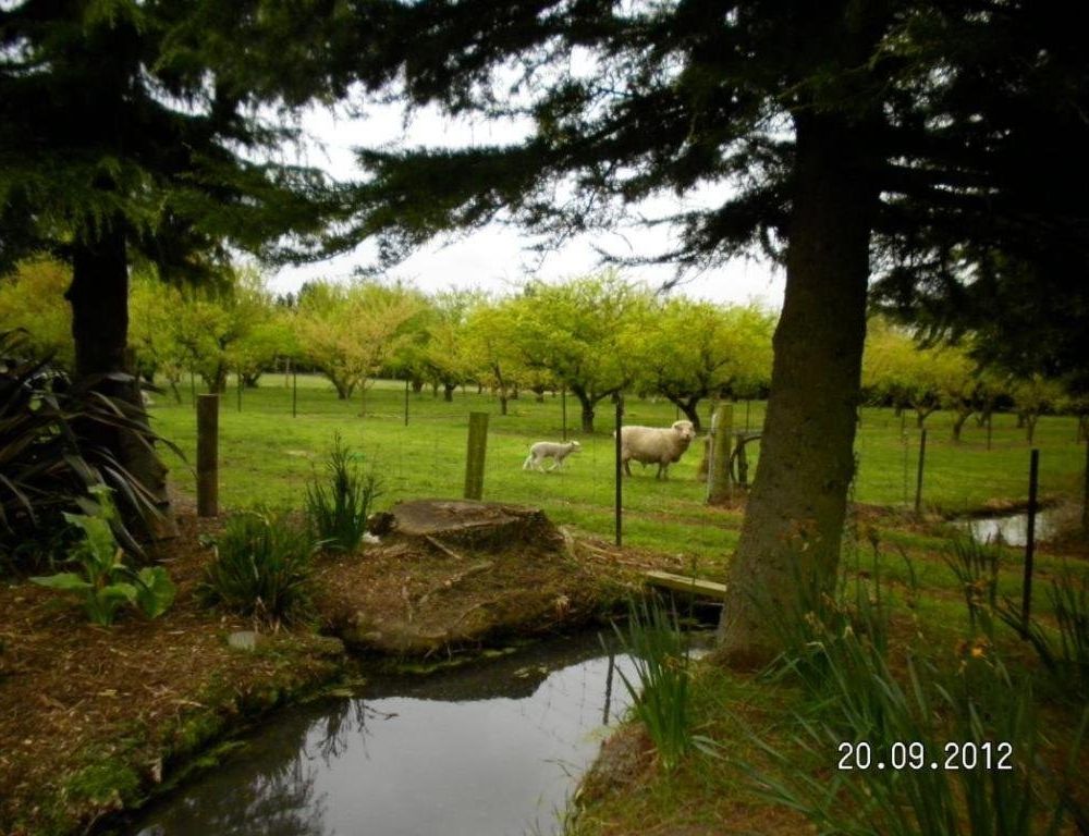 Outdoor Pictures 15