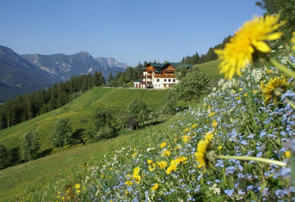 Outdoor Pictures 24